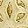 Gold Tone