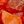 Tangerine