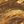 Driftwood