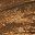 Driftwood