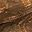 Driftwood