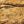 Driftwood