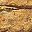 Driftwood
