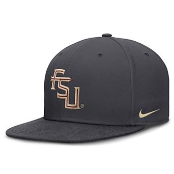 Men's Nike Anthracite Florida State Seminoles Pro Dri-FIT Fitted Hat