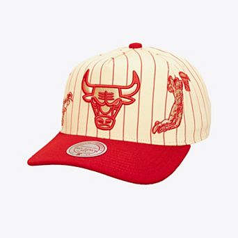 Men's Mitchell & Ness Cream Chicago Bulls Retro Roots Stripe Pro Adjustable Hat