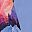 Pink And Blue Mountain