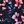 Blue Floral Print