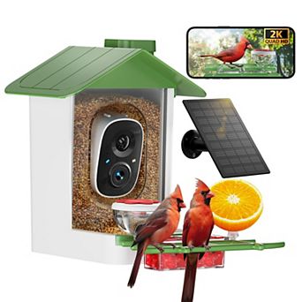 Smart bird feeder with camera, solar powered, 2K HD video, app alerts, outdoor birdhouse feeder