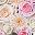 Baby Pink Blush