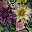 Retro Purple Green