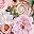 Blush Pink