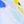 Multicolor Blue