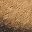 Brown Coffee Color