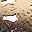 Almond Coffee Color