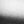 Black White Color
