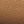 Camel Coffee Color