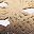 Almond Coffee Color