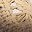 Coffee Color