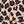 Leopard Print