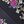 Black Purple