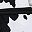 Cow Print