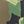 Green Camouflage