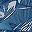 Blue Shark