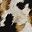 Cowhide