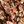Beige Brown