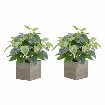 2 Pack 12" Artificial Eucalyptus Plants in 4 Inch Wooden Planters for Home Decor
