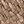 Coffee Color