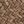 Coffee Colored