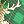 Green Deer Pattern
