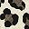 Brown Leopard