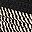 Black Jute