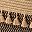 Black Jute