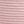 Pink Regular
