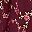 Burgundy Floral