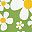 White Daisy Casual