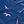 Nautical