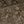 Brown Linen