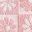 Pink Daisy