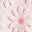 Pink White Flower