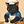 Funny Cat