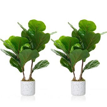 2 Set Fiddle Leaf Fig Fake Plants