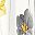 Yellow Gray