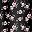 Black Floral