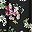 Black Red Floral