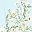 Light Green Floral