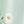 Floral Light Green